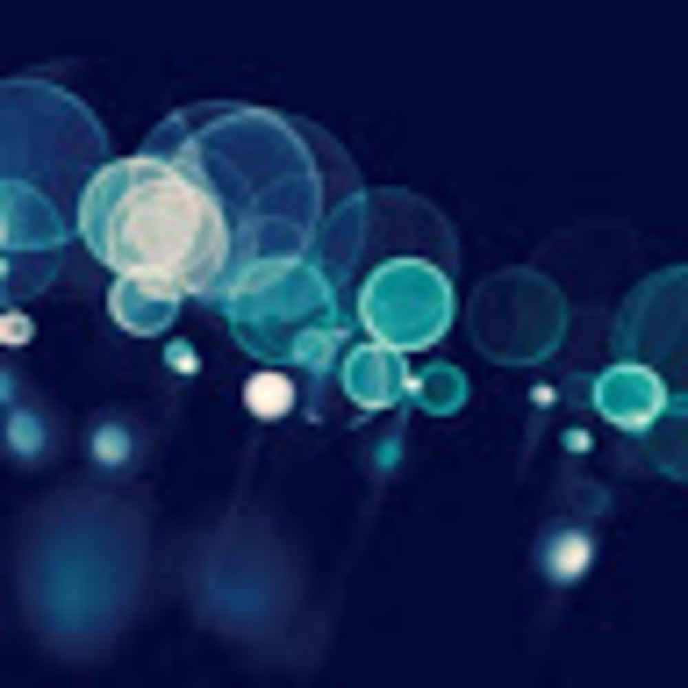 Meet your Posher, Preethi